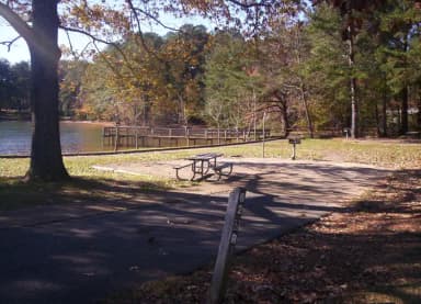 Loop BRIC · Site 62 at Bald Ridge Creek
