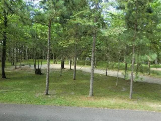 Campsite #34