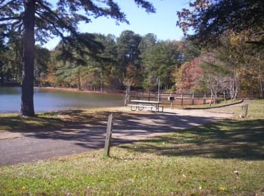 Loop BRIC · Site 64 at Bald Ridge Creek