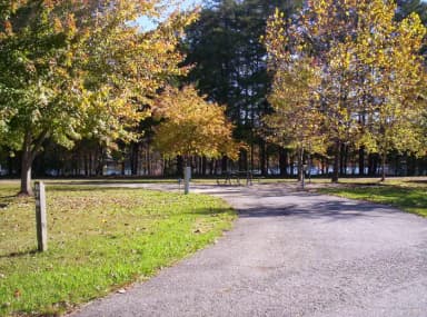 Loop BRIC · Site 67 at Bald Ridge Creek