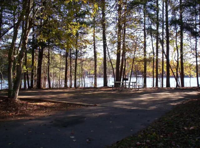 Loop BRIC · Site 69 at Bald Ridge Creek