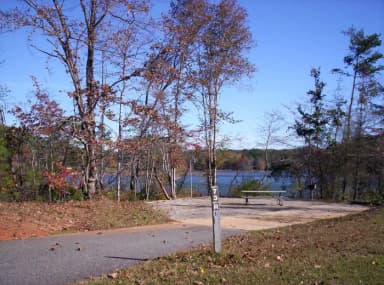Loop BRIC · Site 73 at Bald Ridge Creek