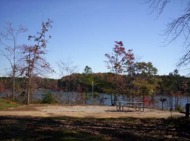 Loop BRIC · Site 75 at Bald Ridge Creek