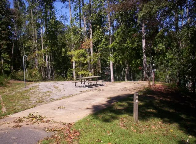 Loop BRIC · Site 78 at Bald Ridge Creek