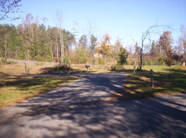 Loop BRIC · Site 79 at Bald Ridge Creek