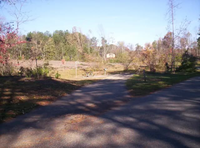 Loop BRIC · Site 80 at Bald Ridge Creek