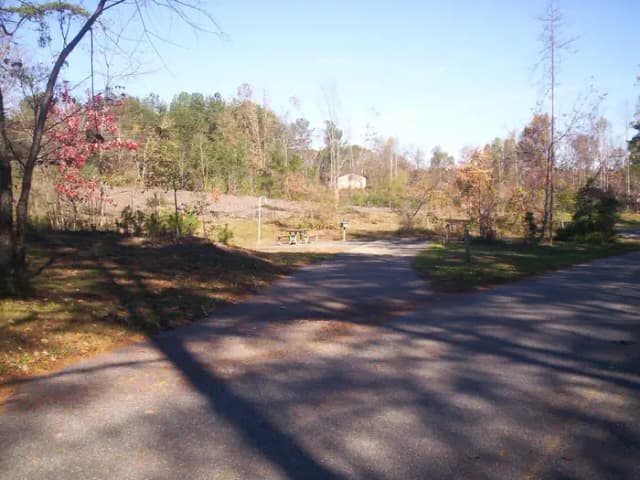 Loop BRIC · Site 81 at Bald Ridge Creek