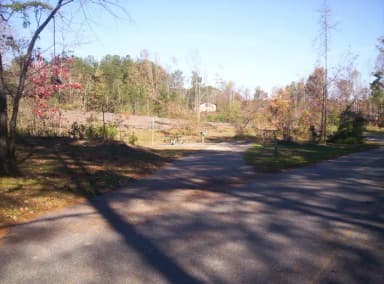Loop BRIC · Site 81 at Bald Ridge Creek