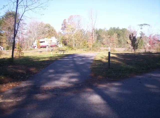 Loop BRIC · Site 82 at Bald Ridge Creek