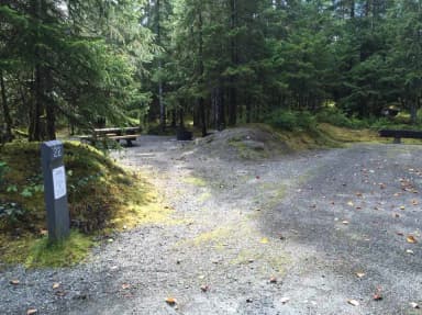 Site 022 at Mendenhall Campground