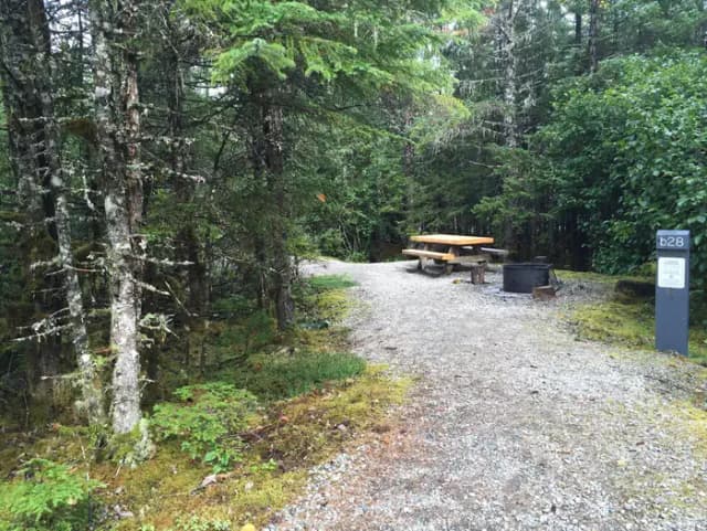 Site 028 at Mendenhall Campground