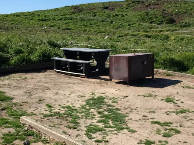 Picnic table and metal food storage box on terrace overlooking ocean, two buildings and lighthouse.