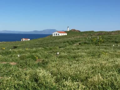 Picnic table and metal food storage box on terrace overlooking ocean, two buildings and lighthouse.