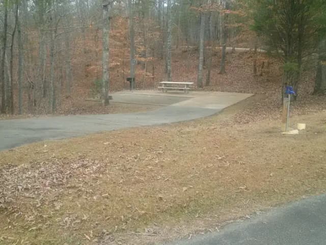 Site 001 at Toto Creek Campground