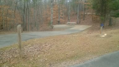 Site 001 at Toto Creek Campground
