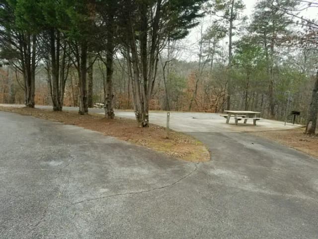 Site 003 at Toto Creek Campground