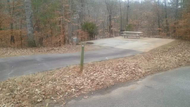 Site 004 at Toto Creek Campground