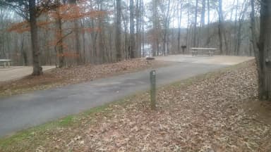 Site 005 at Toto Creek Campground