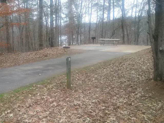 Site 005 at Toto Creek Campground