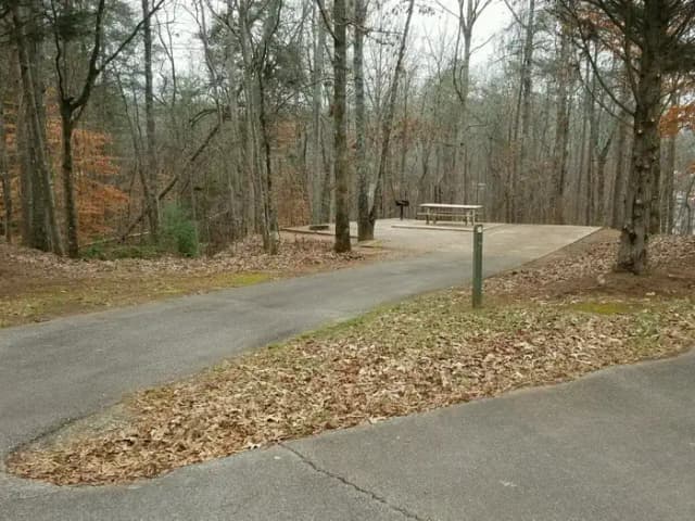 Site 006 at Toto Creek Campground