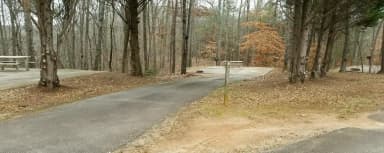 Site 008 at Toto Creek Campground