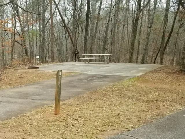 Site 009 at Toto Creek Campground