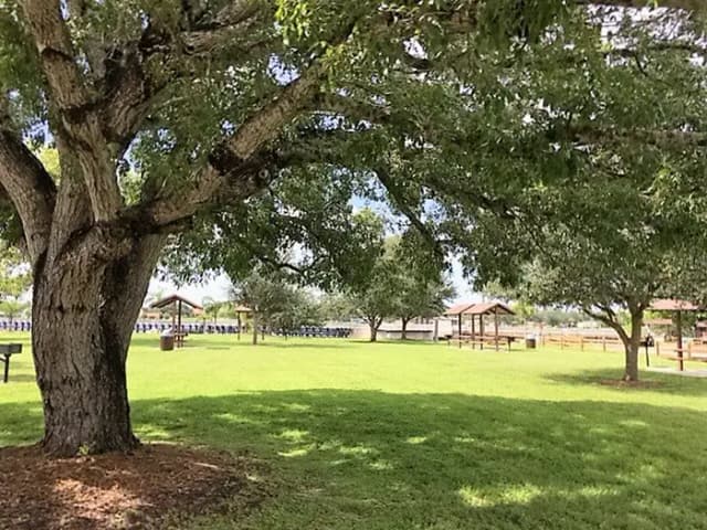 Picnic Sites at W.P. Franklin South Recreation Area