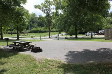 Site 19