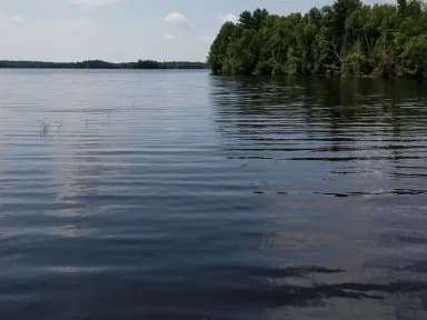 Moose Lake Boat Landing View