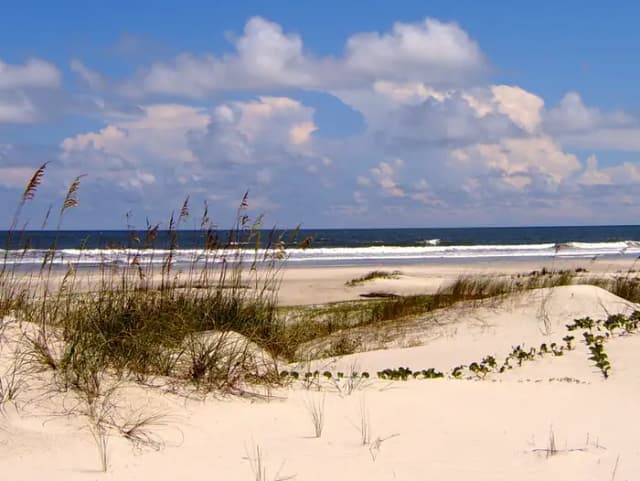 undeveloped beach complete with sea oat covered dunes, light sands, blue sky, and crashing waves