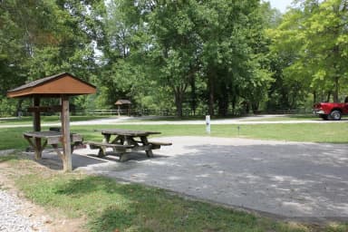 Site 29