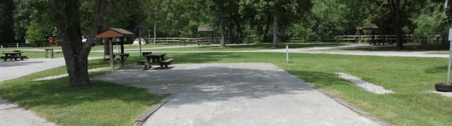 Site 29