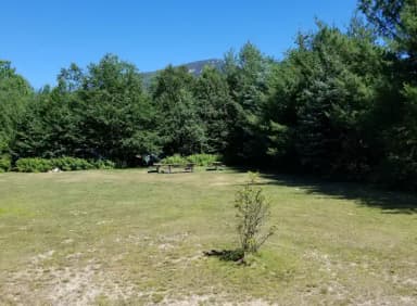 Mountain view, picnic table