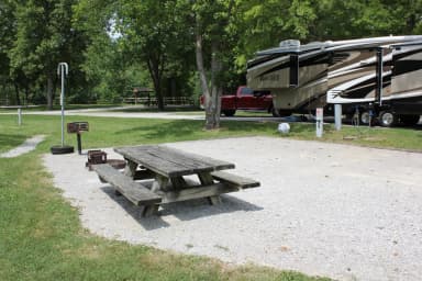 Site 31