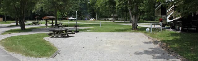 Site 31