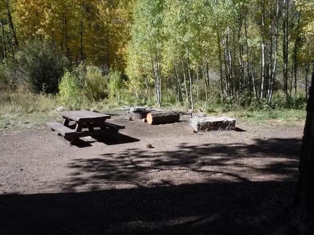 Campsite 9