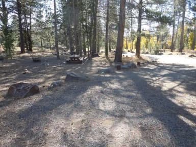 Site 001 at Lower Little Truckee