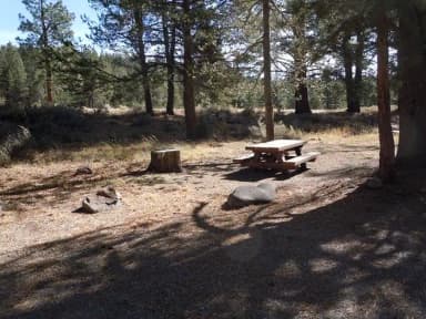 Site 003 at Lower Little Truckee