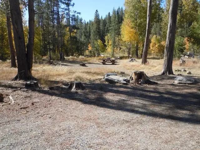 Site 004 at Lower Little Truckee
