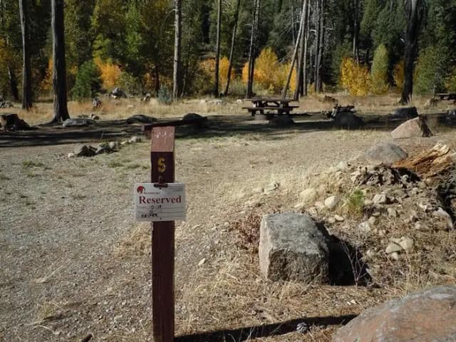 Site 005 at Lower Little Truckee