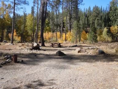 Campsite 6