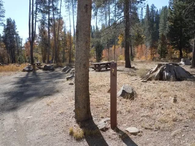 Campsite 7