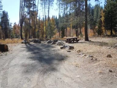 Campsite 8