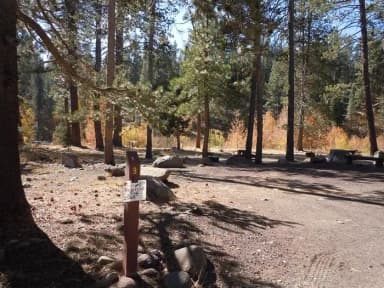 Site 009 at Lower Little Truckee