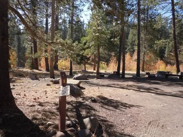 Campsite 9