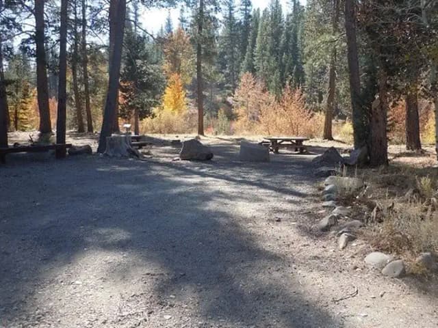 Site 010 at Lower Little Truckee