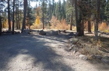 Campsite 10