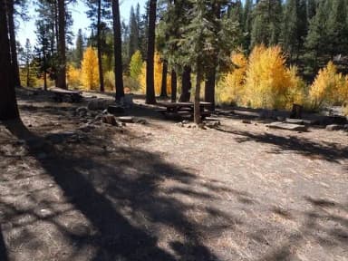 Site 011 at Lower Little Truckee