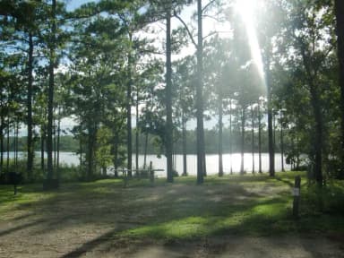 CAMEL LAKE CAMPGROUND SITE 2