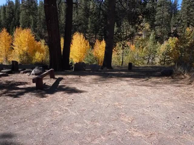 Site 012 at Lower Little Truckee